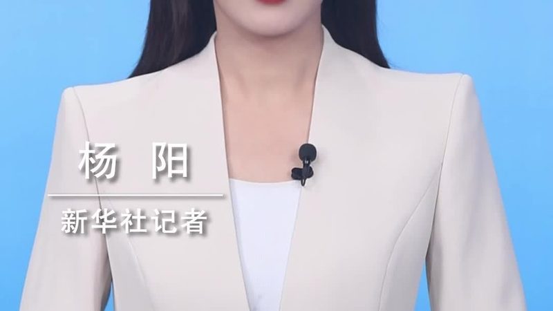 开源SaaS平台二次开发：机遇与挑战并存