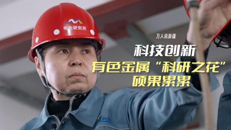 数据中台性能优化：技术选型的关键考量